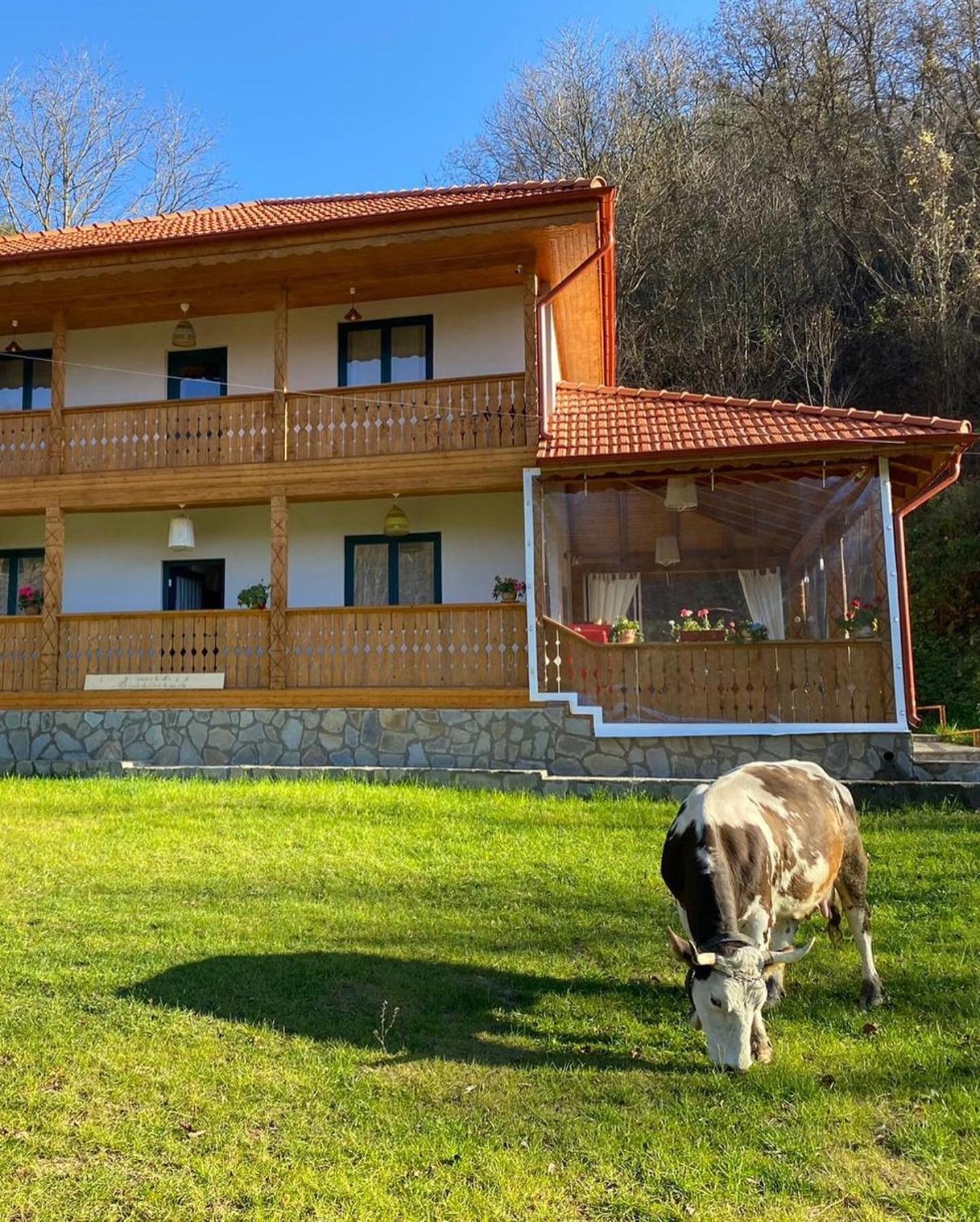 Casa Lila Bed and Breakfast Colti Εξωτερικό φωτογραφία