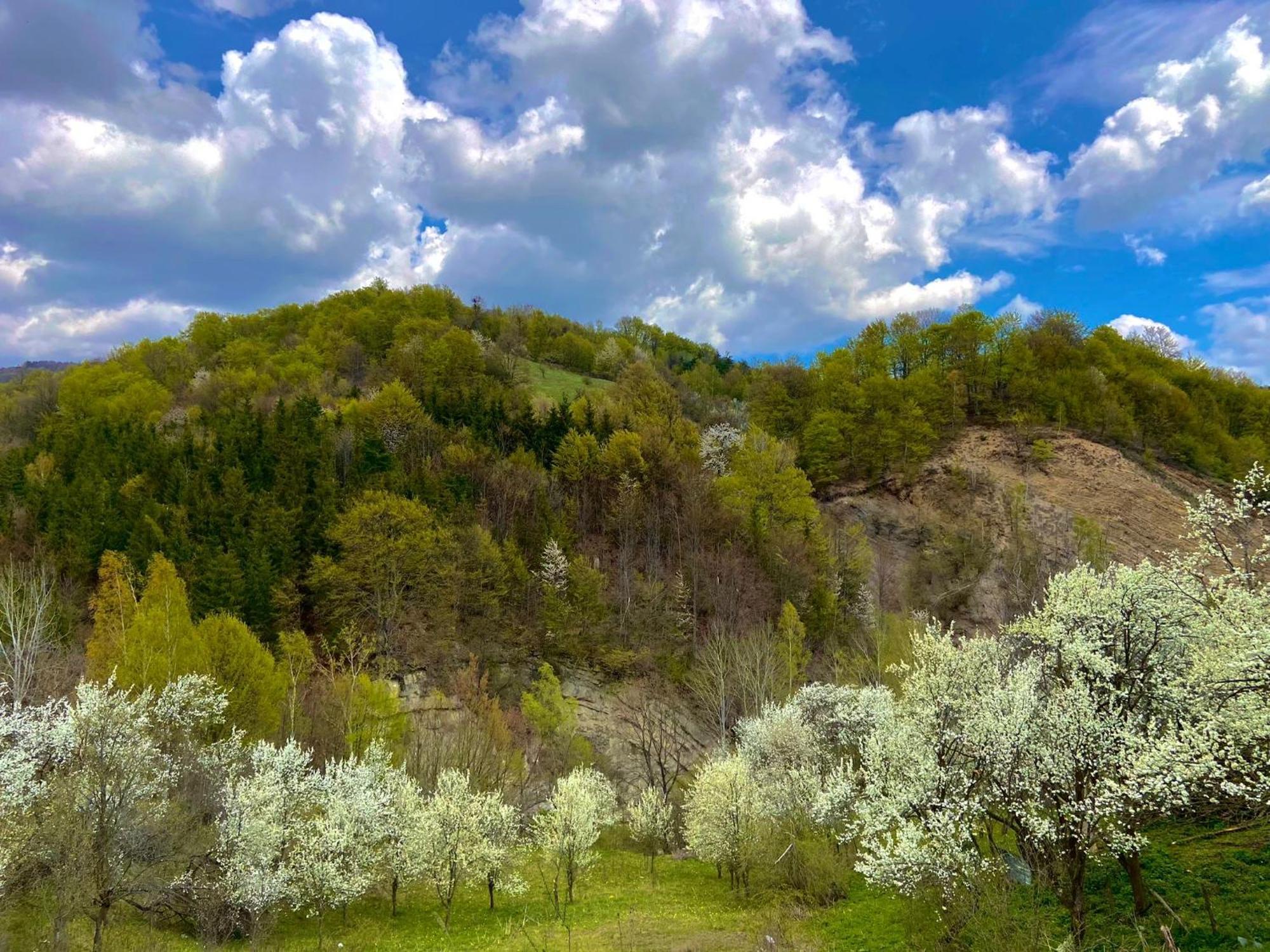 Casa Lila Bed and Breakfast Colti Εξωτερικό φωτογραφία